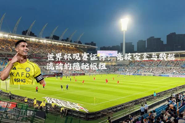 世界杯观赛证件：竞技安全与数据流动的隐秘枢纽