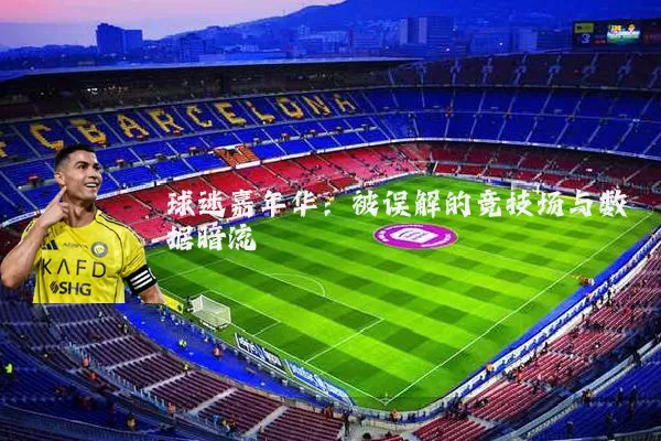 球迷嘉年华:被误解的竞技场与数据暗流